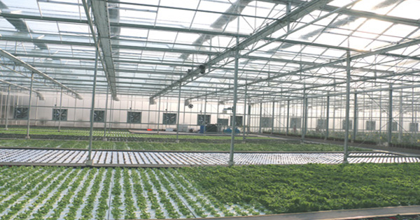 山東杰諾溫控設備制造有限公司(圖1)