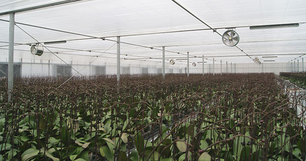 山東杰諾溫控設備制造有限公司(圖2)