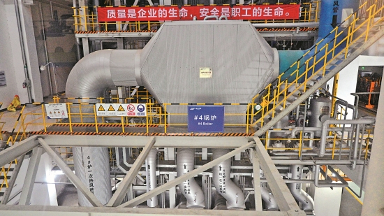 廚余回收“少”“慢”“亂” 外判無王管(圖7)