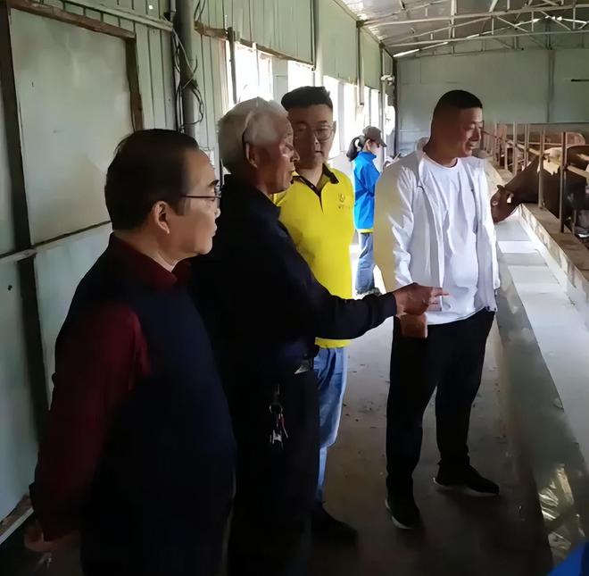 養(yǎng)牛關(guān)鍵知識(shí)點(diǎn)：澤牧久遠(yuǎn)技術(shù)總監(jiān)黃正勇談牛消化吸收的重要性(圖2)