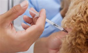 2024粉煤灰行業發展前景研究與市場機遇(圖8)