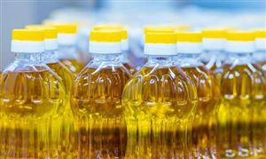 2024粉煤灰行業發展前景研究與市場機遇(圖2)