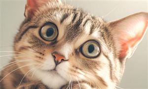 2024粉煤灰行業發展前景研究與市場機遇(圖9)