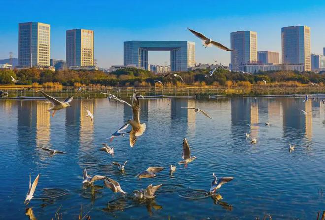 設備更新、以舊換新！無錫方案出爐！(圖8)