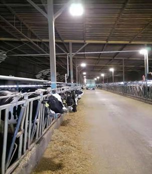 全國獸用抗菌藥使用減量化行動【奶牛養殖場減抗典型案例】之河北樂源牧業(圖5)