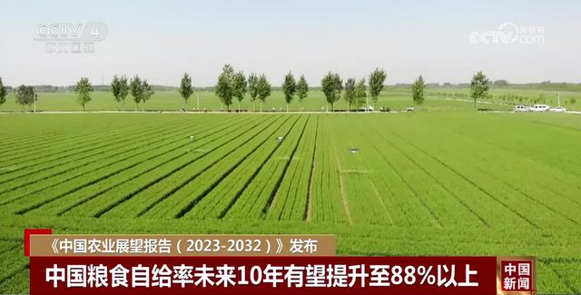 未來10年我國豬肉產量負增長？全球生豬產業發展解讀！(圖8)